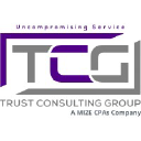 trustconsultinggroup.com