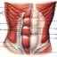 Truthaboutabs
