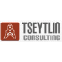 tseytlin-consulting.com