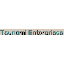 tsunami-enterprises.org