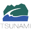 tsunamisolutions.com
