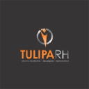 tuliparh.com.br