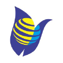TULIP IT Consulting and Services