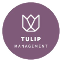 tulipmanagement.com