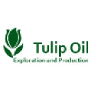 tulipoil.com