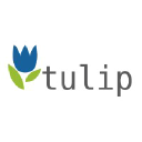 tulipsystems.net