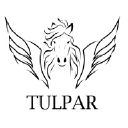 tulparconsultancy.com