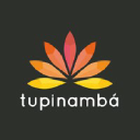 tupinambaenergia.com.br