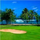 turtle bay golf