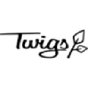 twigswoodwear.com