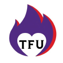 Twinflamesuniverse