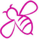 ankit jain