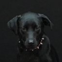 Underdog’s job post on Arc’s remote job board.