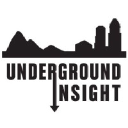 undergroundinsight.com