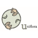 uniflora.ae