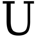 United Essays