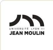 emploi-universite-jean-moulin-lyon-3