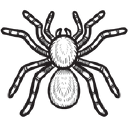 Urban Tarantulas logo