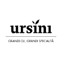 ursini.com
