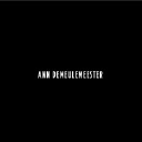 Logo for us.anndemeulemeester.com