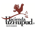 uzhupud.com