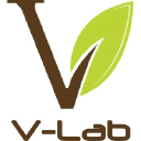 v-lab.fr