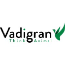 vadigran.com