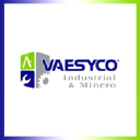 vaesyco.com.mx