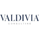 valdivia-consulting.com