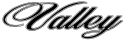 Logo for valeforever.com
