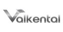 VALKENTAL.de | Fahrradtasche & Rucksack kombiniert! logo