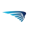 Valkyrie Aero Consulting logo
