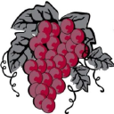 valleywinewarehouse.com