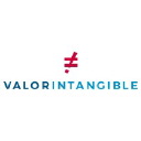 valor-intangible.com