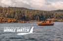 Vancouver Island Whale Watch