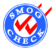 Van Nuys Star Smog Test logo