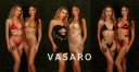 Logo for vasaro.com