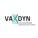 VAXDYN