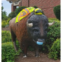 village of buffalo grove