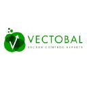 vectobal.com