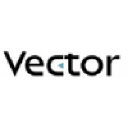 vector-networks.com