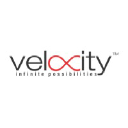velocityindia.net