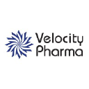 velocitypharma.com