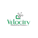 Velocity Strategy Execution Consulting