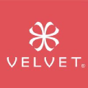 velveteyewear.com