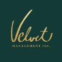 velvetmanagement.com