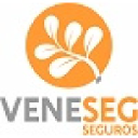 veneseg.com.br