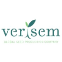 verisemseeds.com