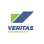 Veritas Solutions Group logo