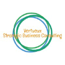 vertueuxstrategicbusinessconsulting.com